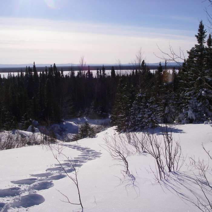 Snowshoe trail E1 by Games Trail quarry Near Snowshoe Route #2
