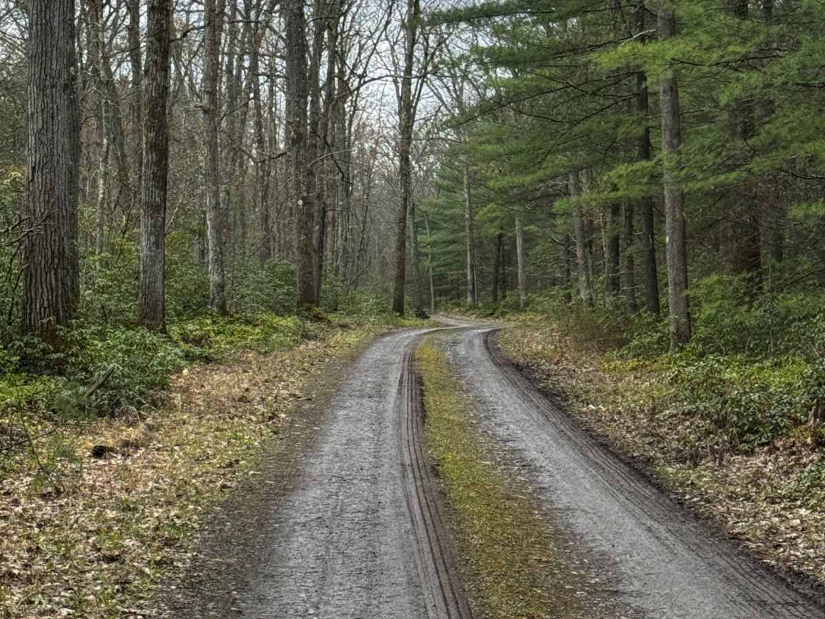 Old Mountain Road photo 6