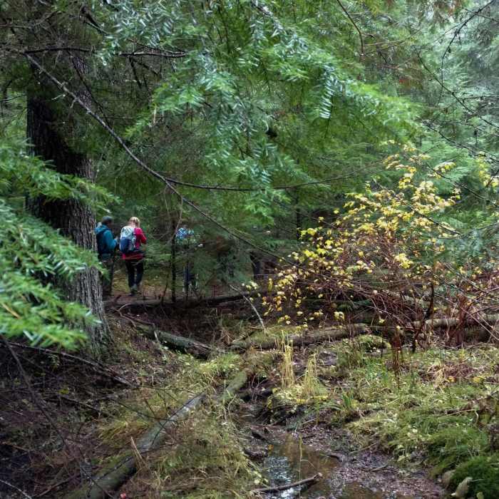 Near Trail #257 South/Carlin Connector Loop