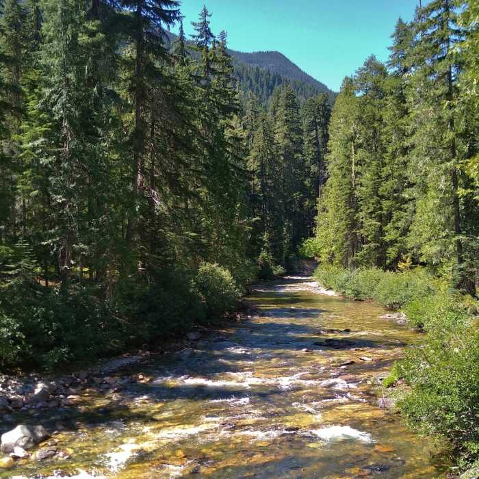 Near Little Wenatchee Gorge Trail #1540