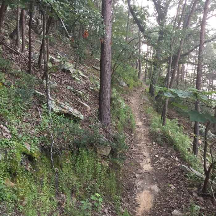 Near River Gorge Trail