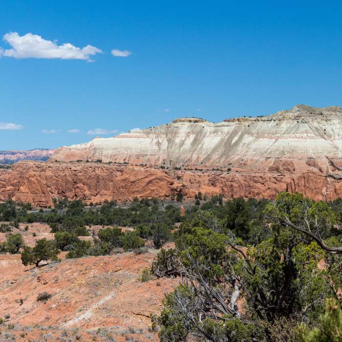 An amazing set of colors looks even better on a sunny day in Kodachrome Basin State Park. Near Shakespeare Arch - Sentinel Trail