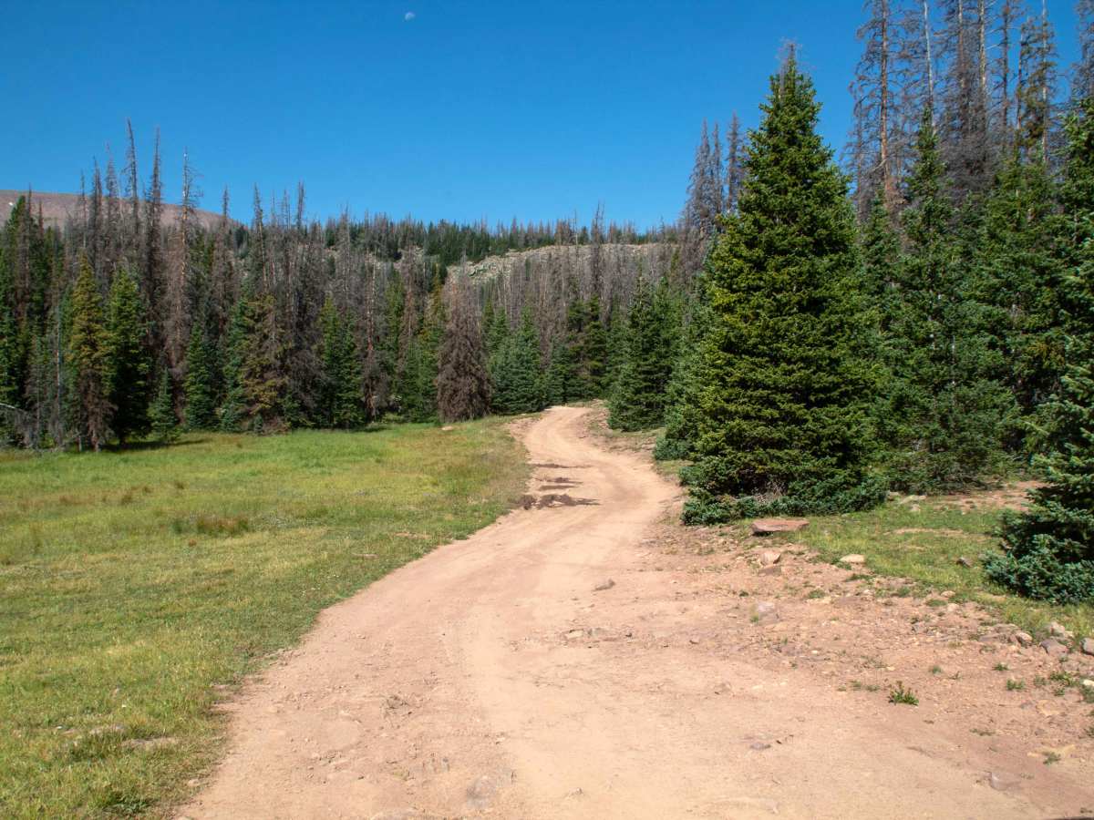Hacking Lake - FS 10262 photo 4