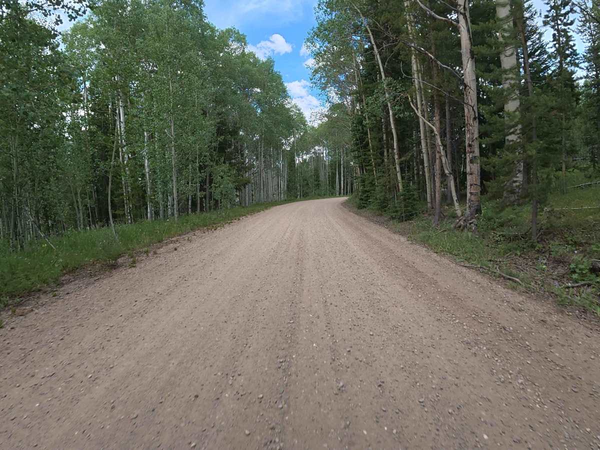 Old Highway Road - FS 206 photo 2