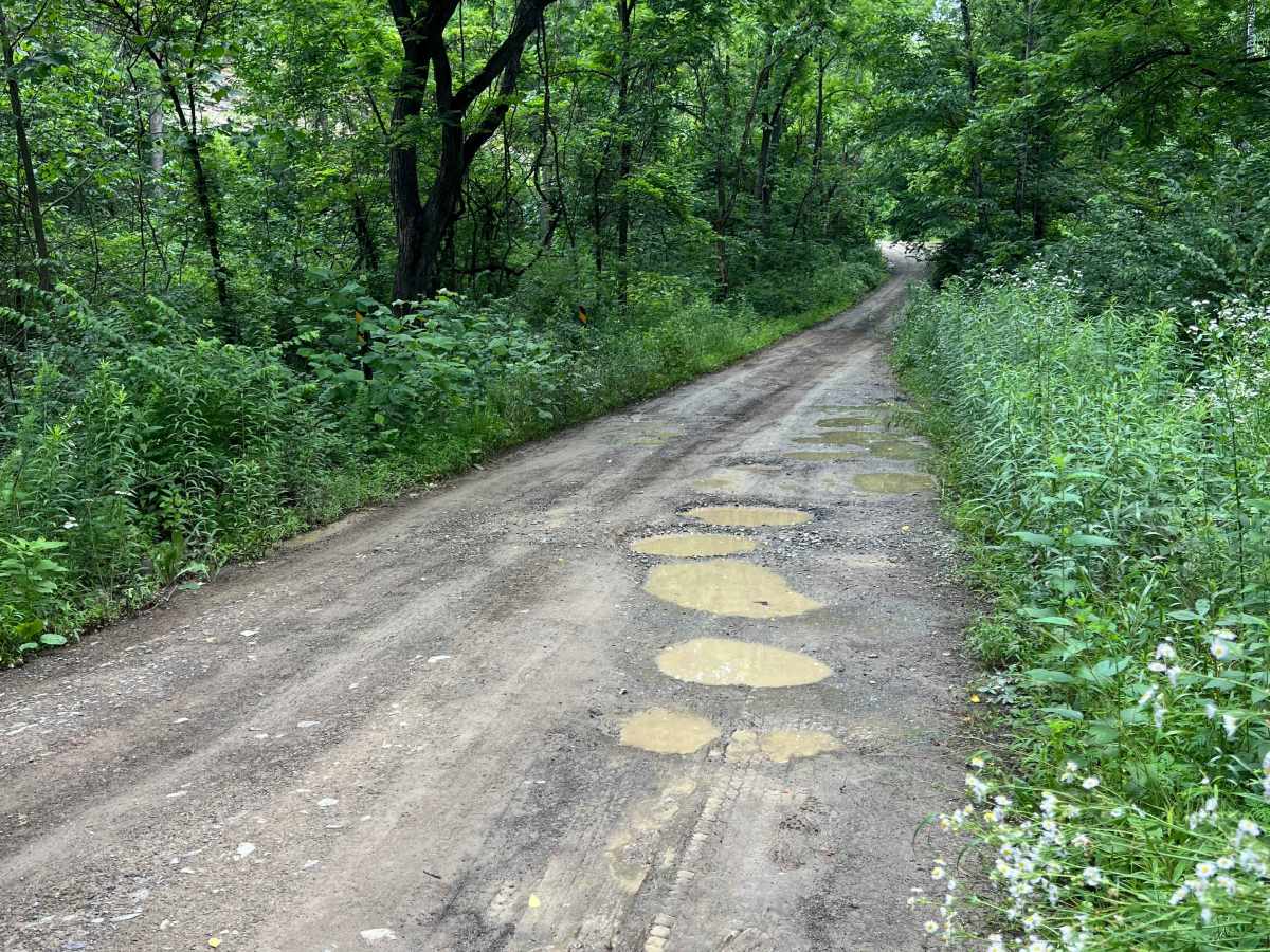 Mertens Avenue trail photo