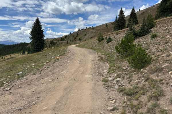 Ptarmigan Road