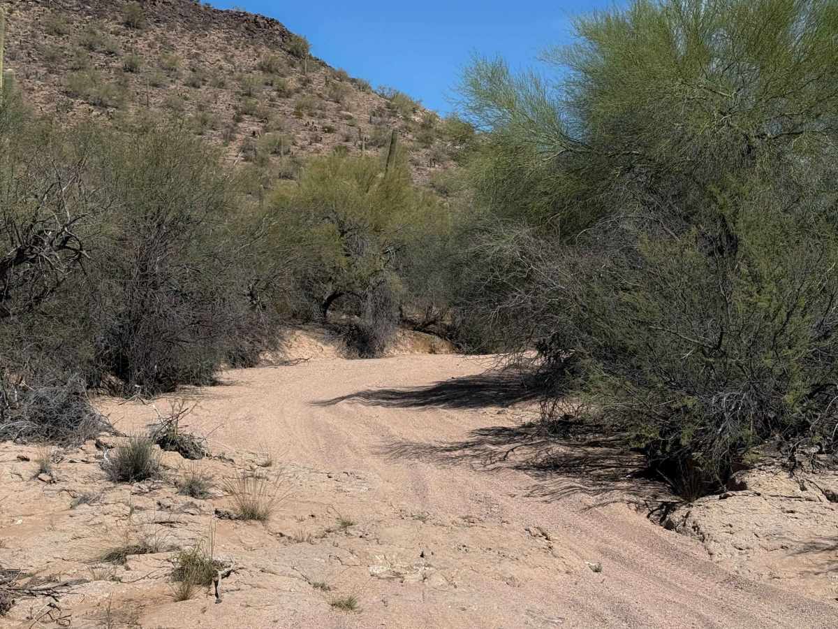 Bh1270 trail photo