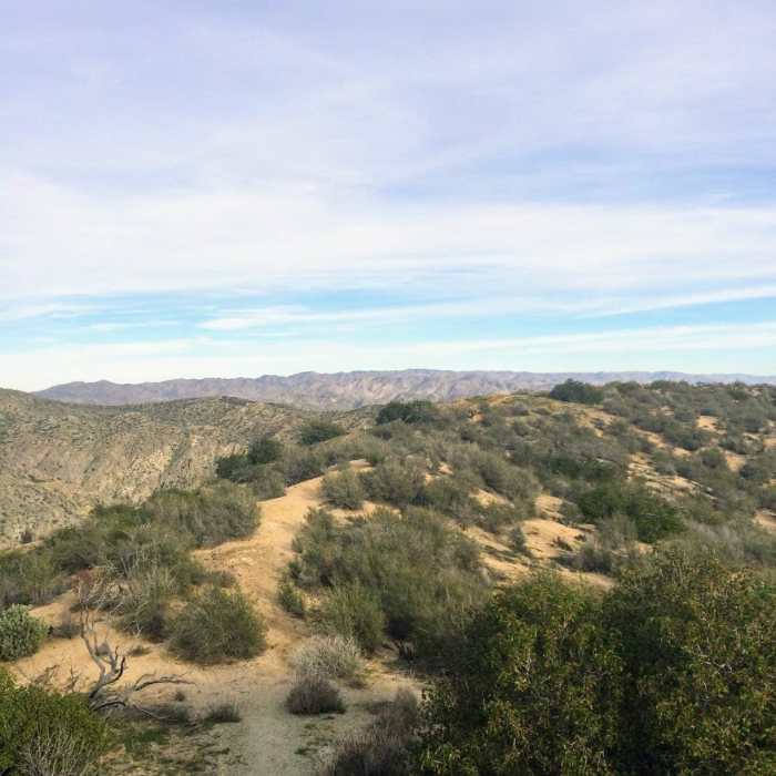 Near Mission Creek Lollipop