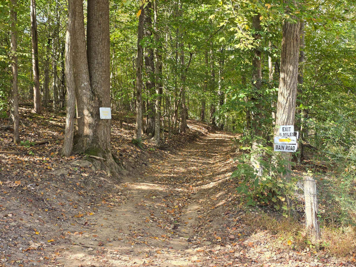 Hardwood Hollow trail photo