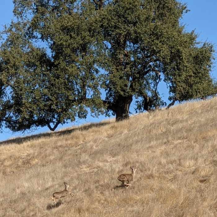 Near Snell Barn Loop