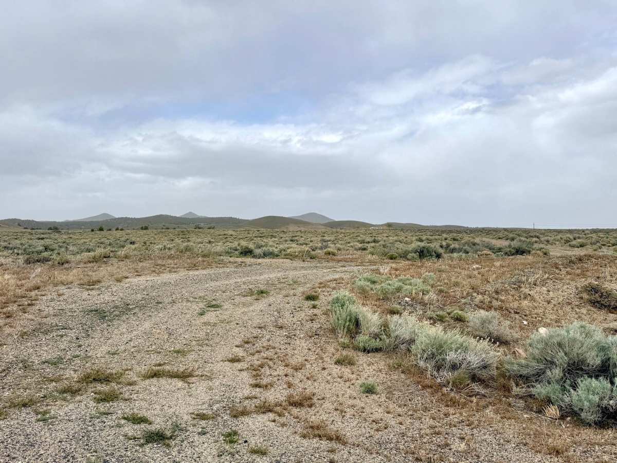 Lowboy Mine - FS 43251 photo 5