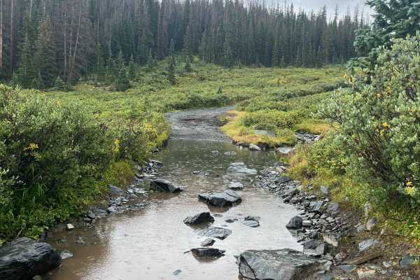 Old Tin Cup Trail
