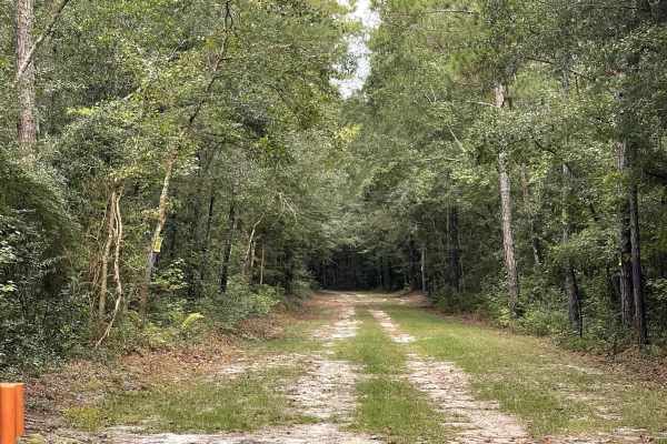 River Road
