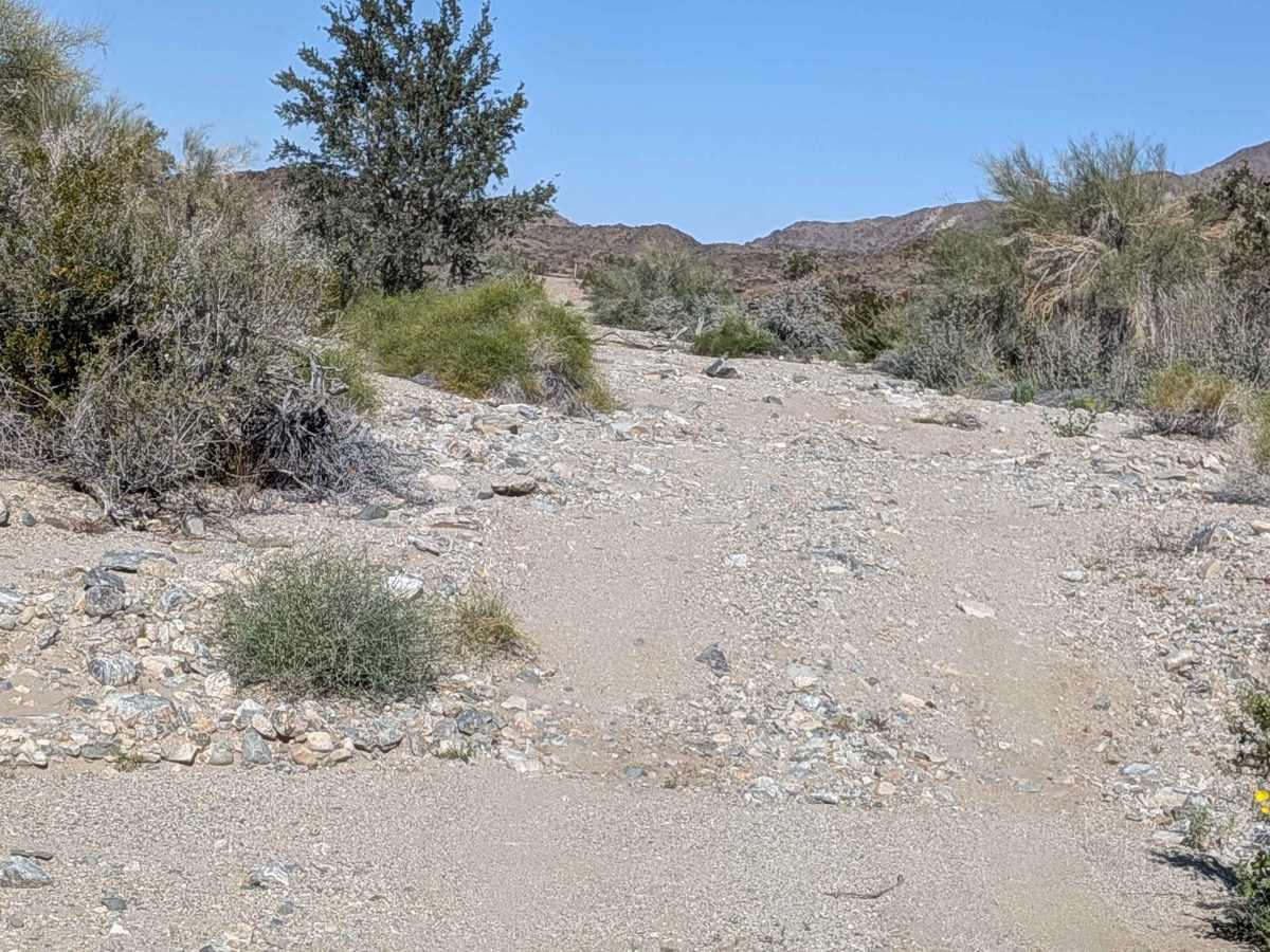BLM 311 photo 6