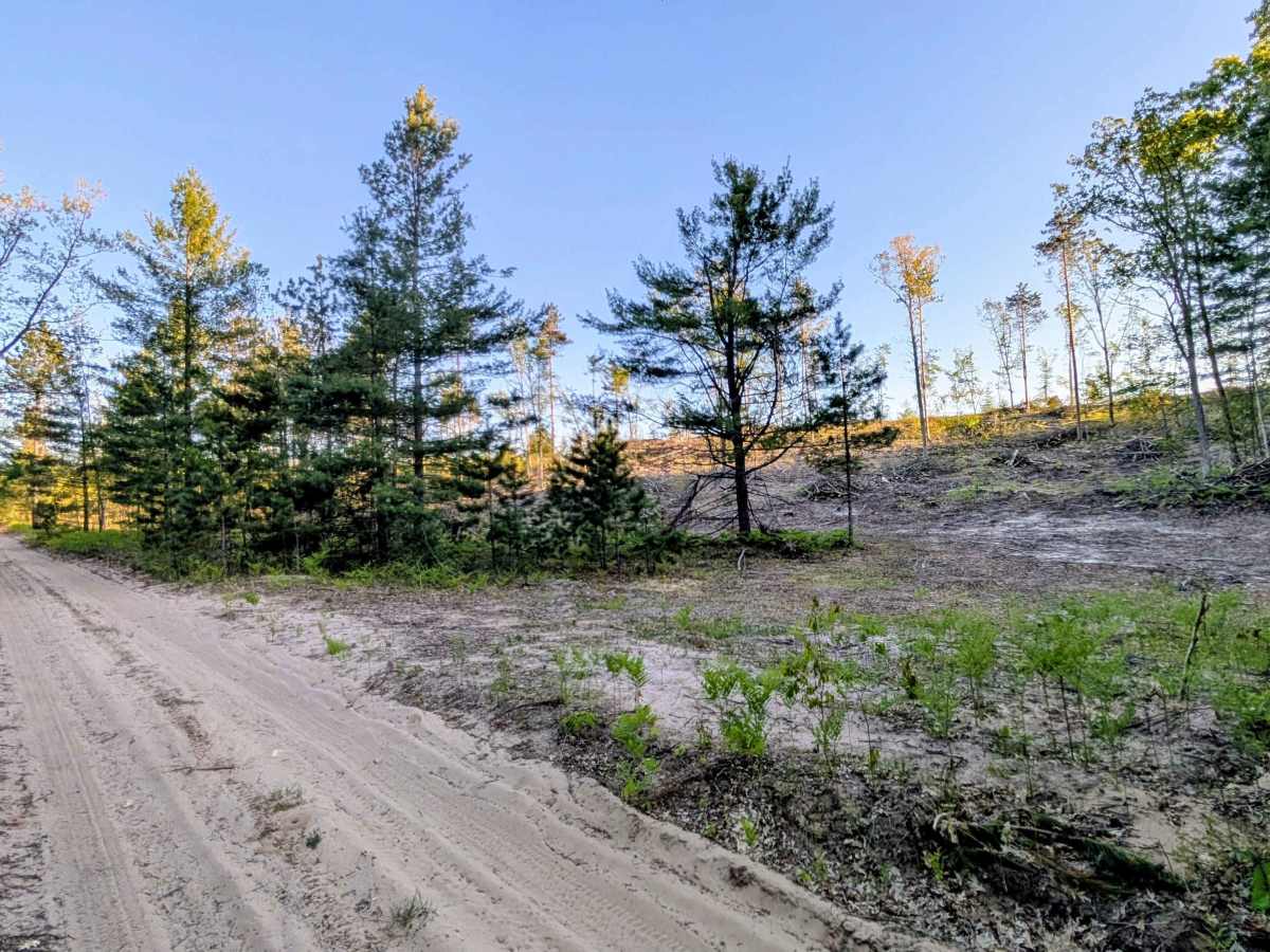 Eight Point Rd  photo 5