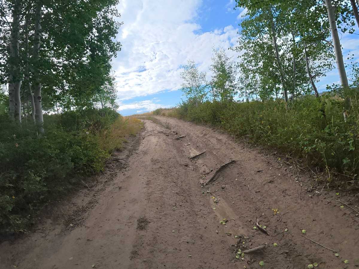 Joe Mule Park - FS 245 photo 3