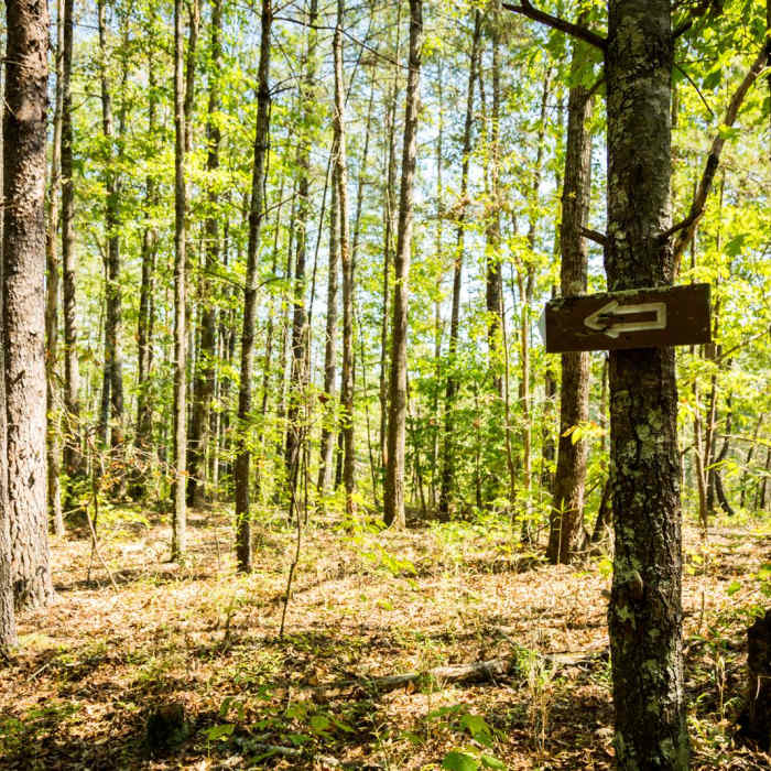 Near Natural Bridge Trail