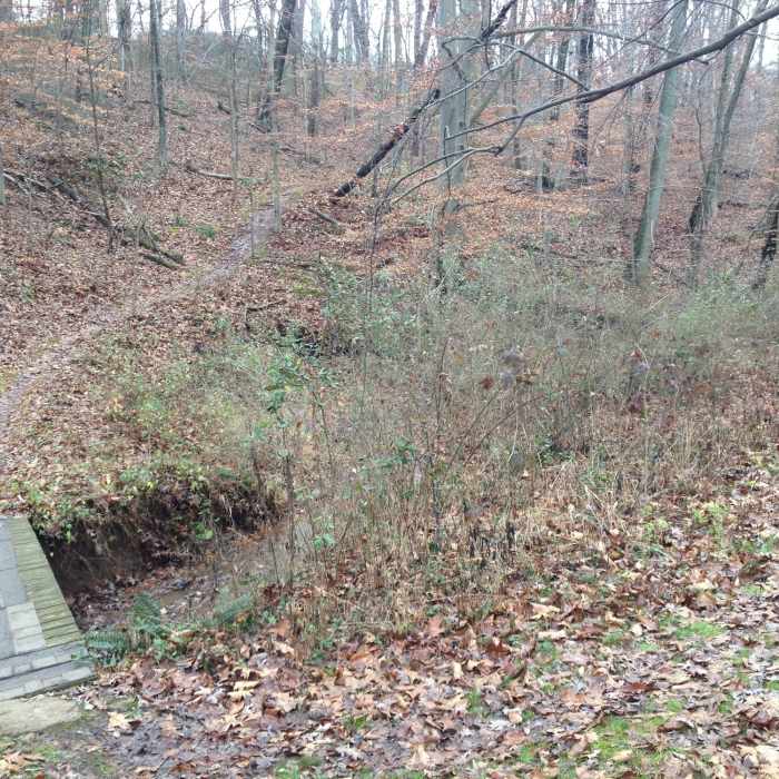 Near North Hills Trail (Western Section)