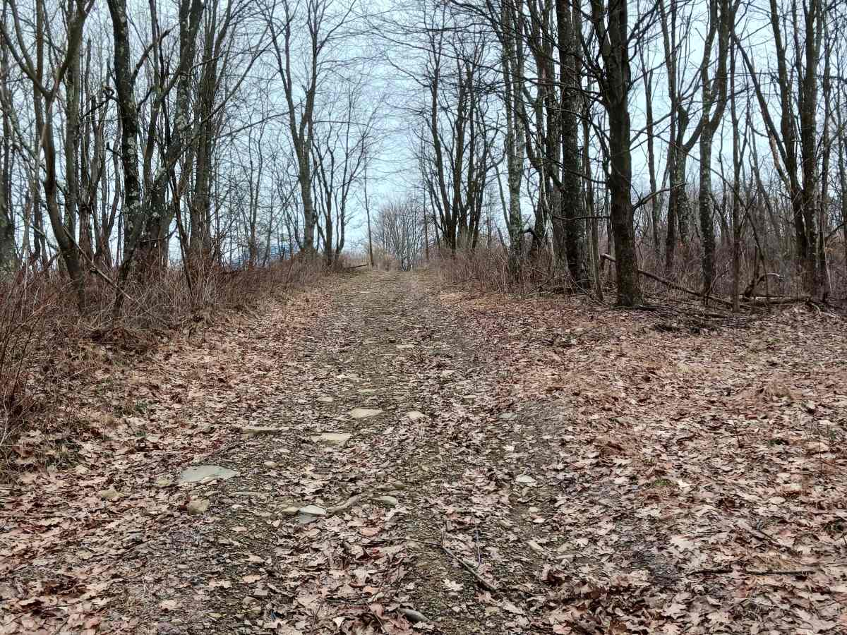 W Road - Rock Run Recreation Area photo 4
