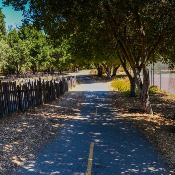 Near Lower Meadow Trail to Deer Hollow Farm