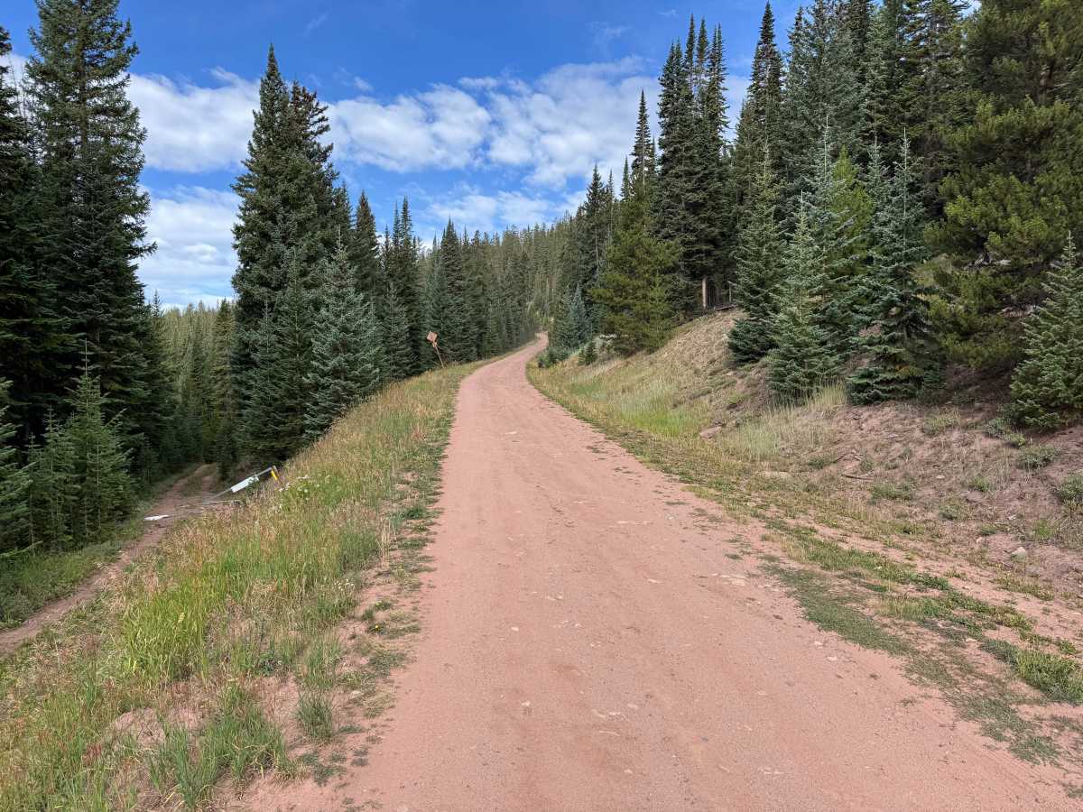 Lime Creek Road photo 3