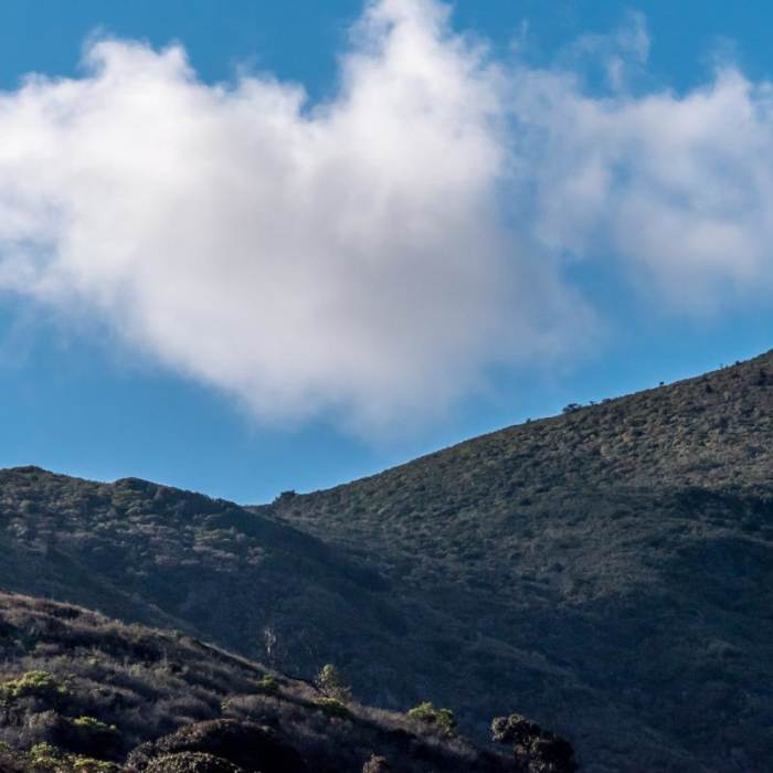 Near Hazelnut + Weiler Ranch Trail Loop Hike