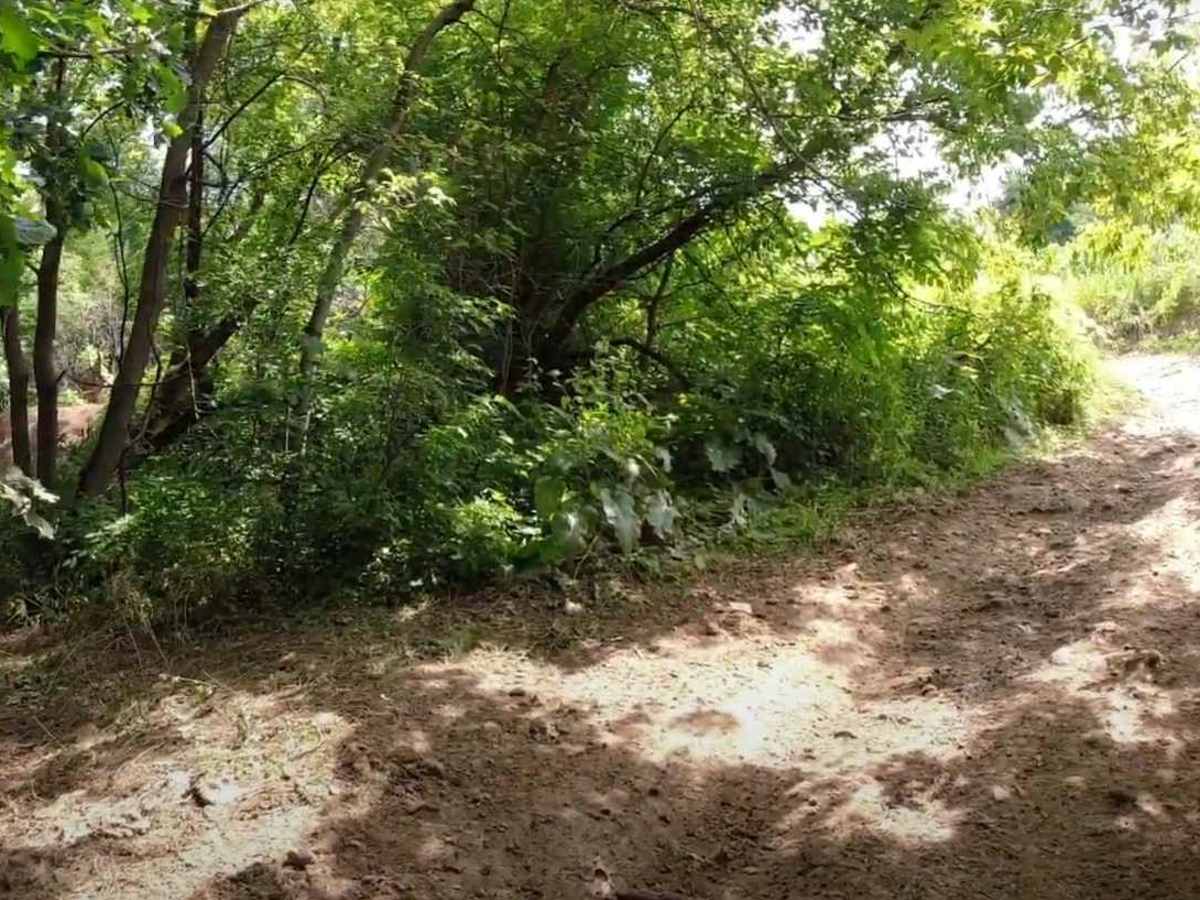 Snake Creek ATV Trails photo 3