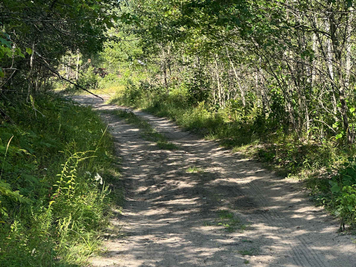 Jackson Avenue photo 6