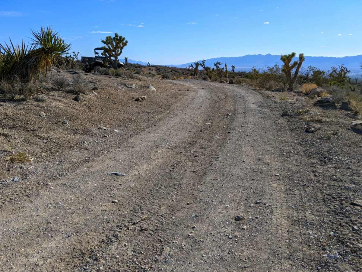 Hughes Cabin-Horse Springs Road photo 4
