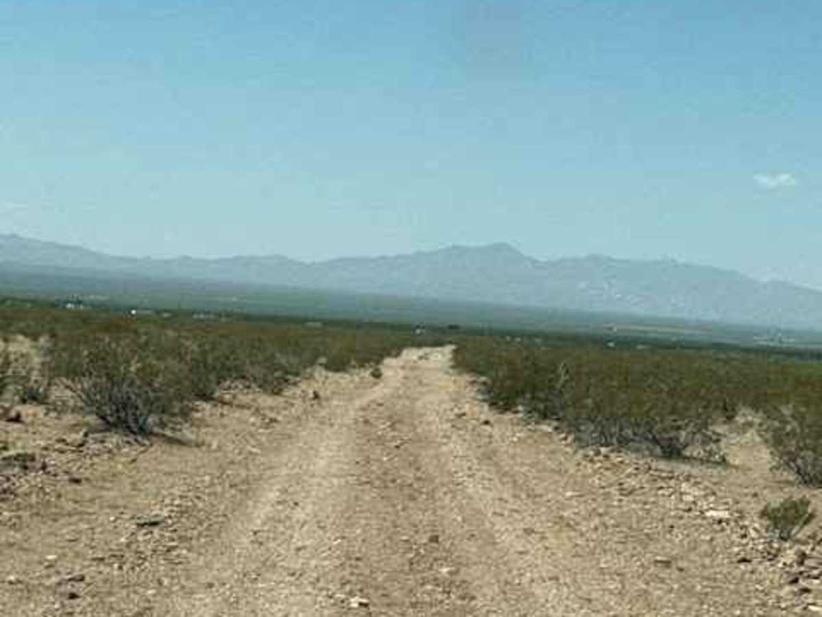 SS1169 photo 2