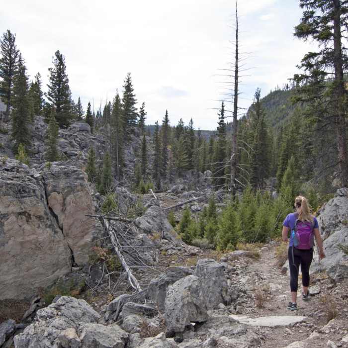Near Howard Eaton Trail: Golden Gate
