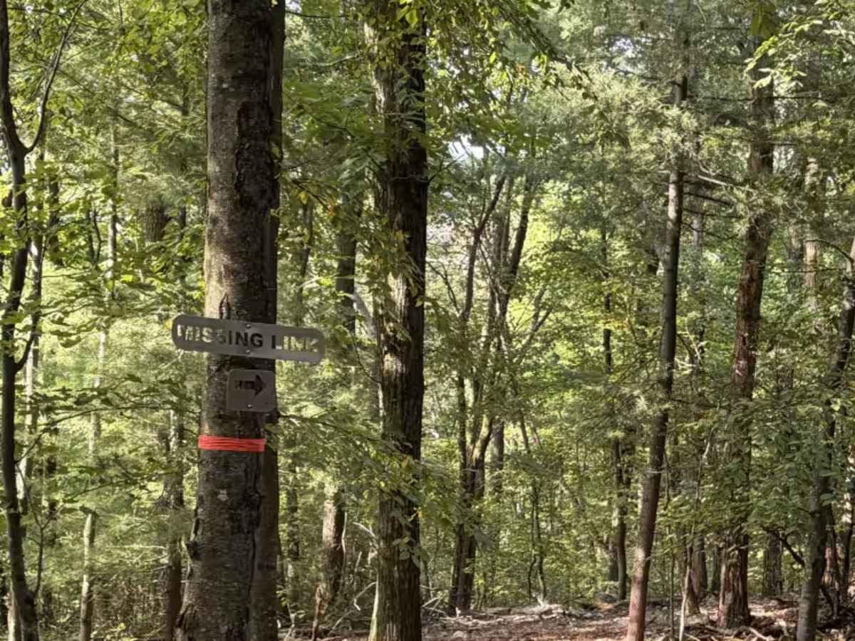 Missing Link trail photo