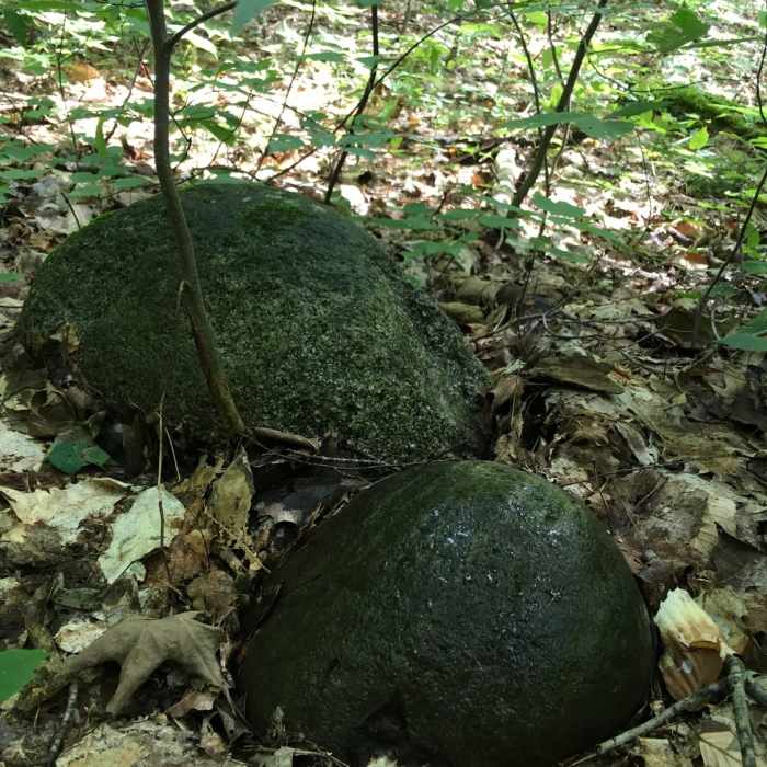 Near Jordan Valley Loop