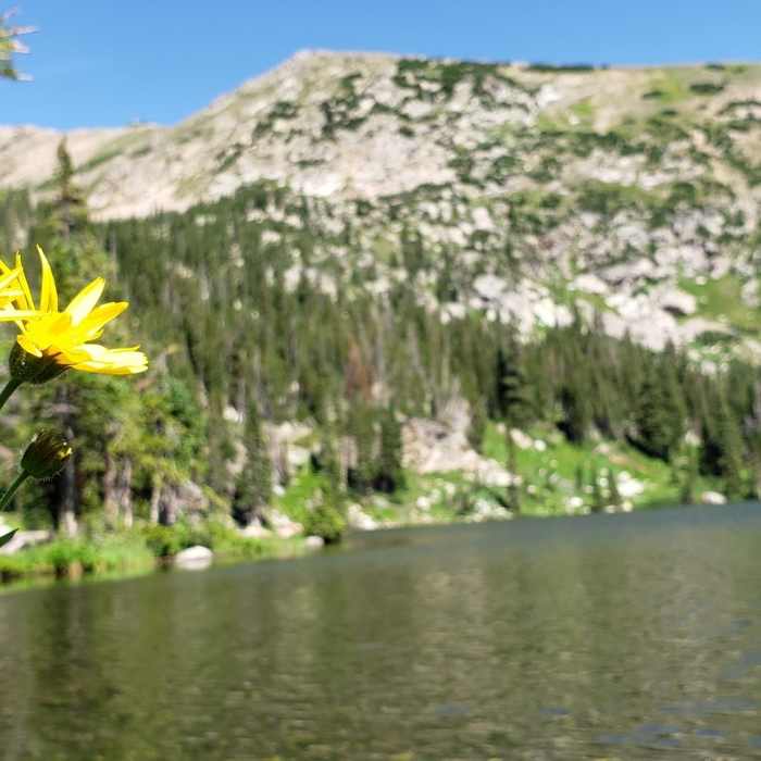 Near Crater Lakes Trail #819