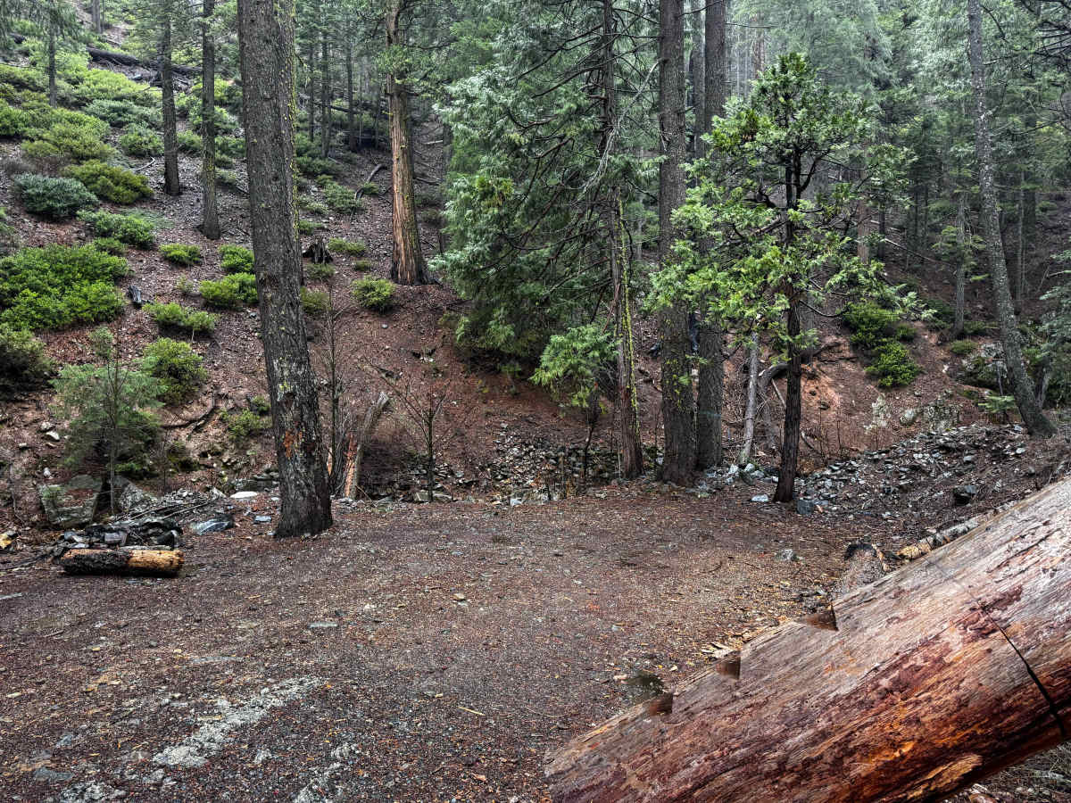 Screwauger Trail photo 4