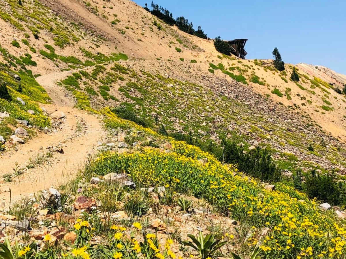 Henderson Mountain Road photo 4