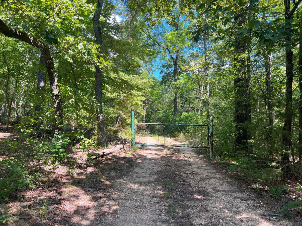Smith Branch Trail photo 5