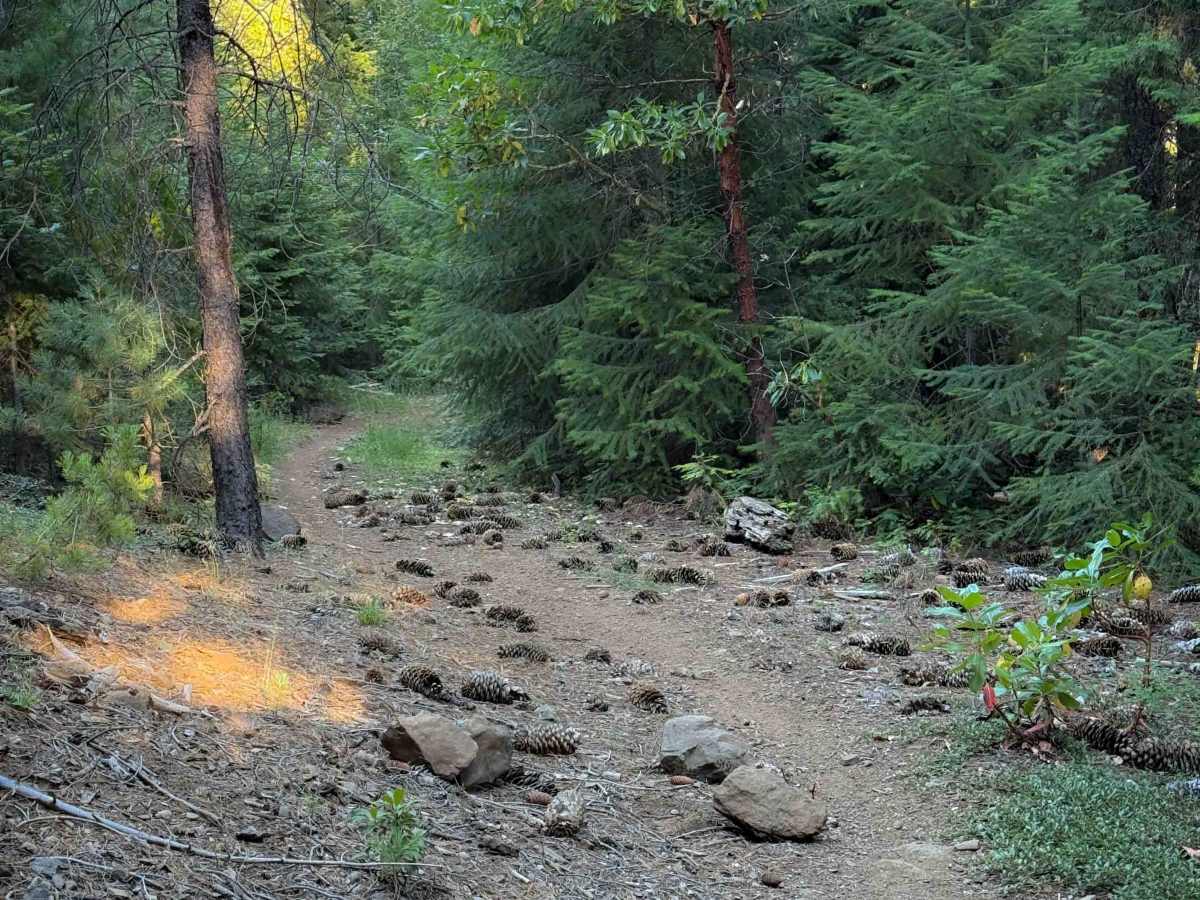 Sunshine OHV #22 photo 3