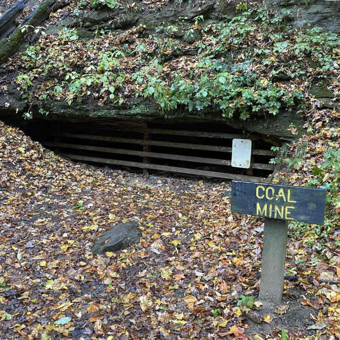 Near Trail #2