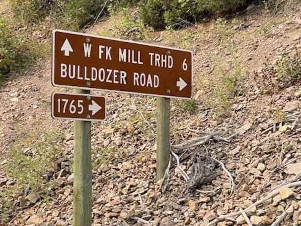 Bulldozer Road trail photo