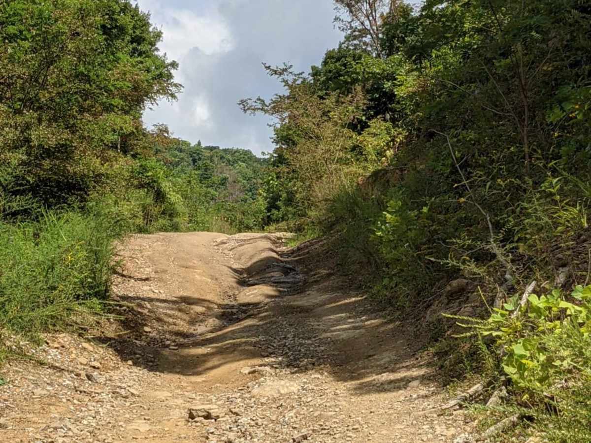 50 trail photo