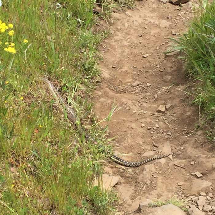 Near Catherine Creek