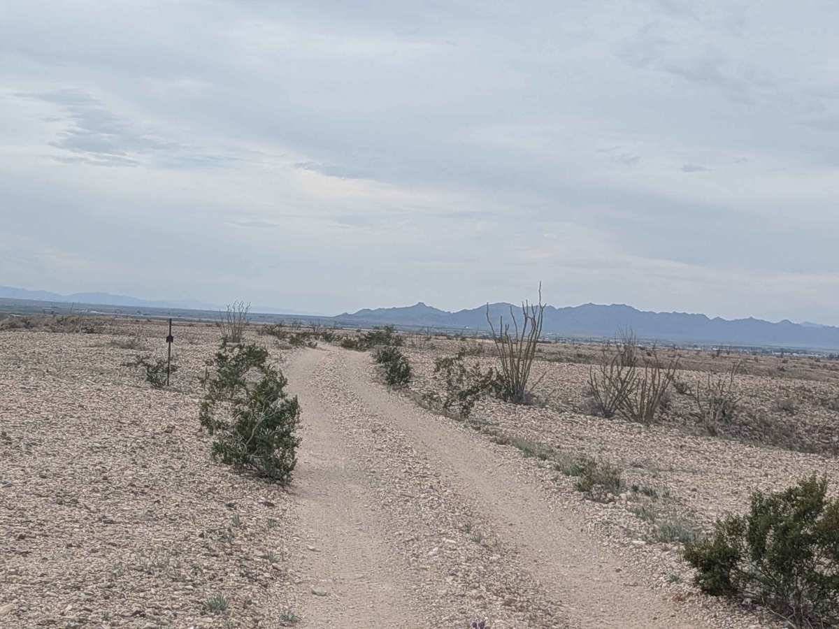 EC1224 photo 2