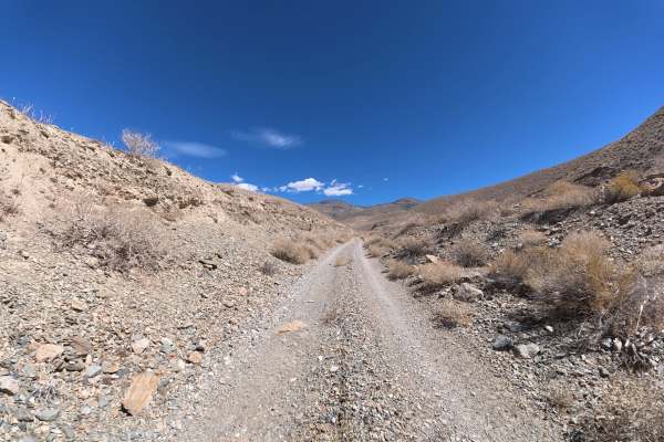 North McNully Canal Road
