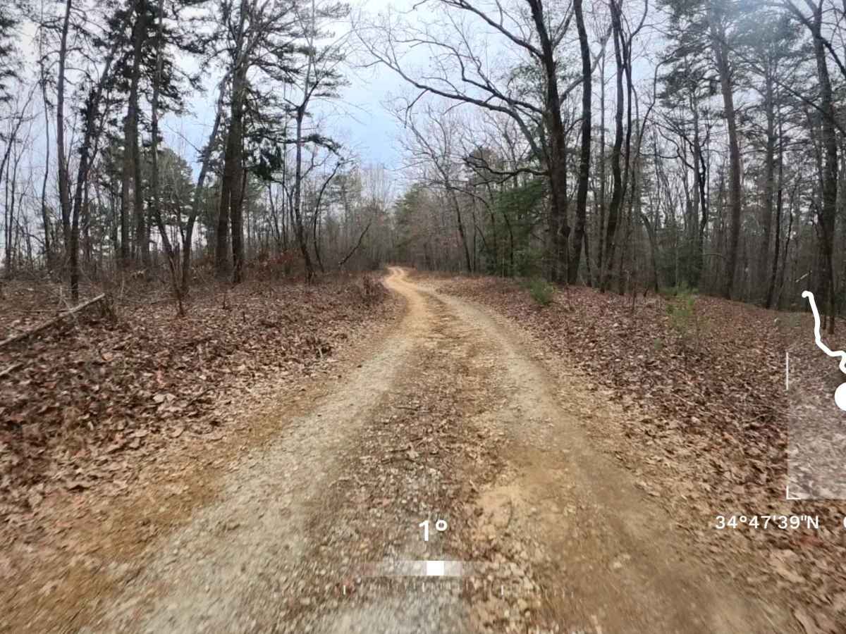 Deaden Timber Road - FS 825 photo 5