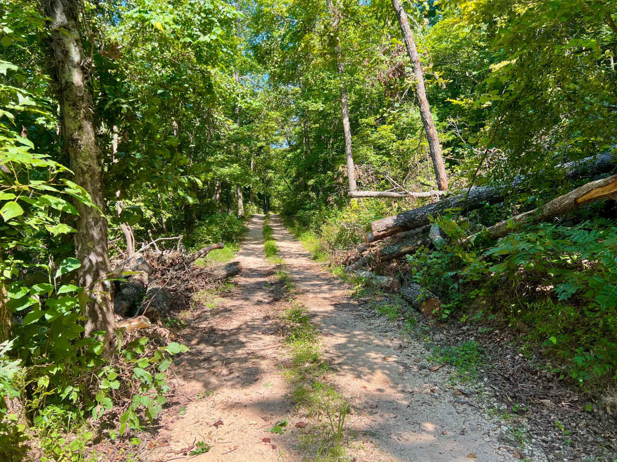 Horse Hollow - SCR 319A photo 5
