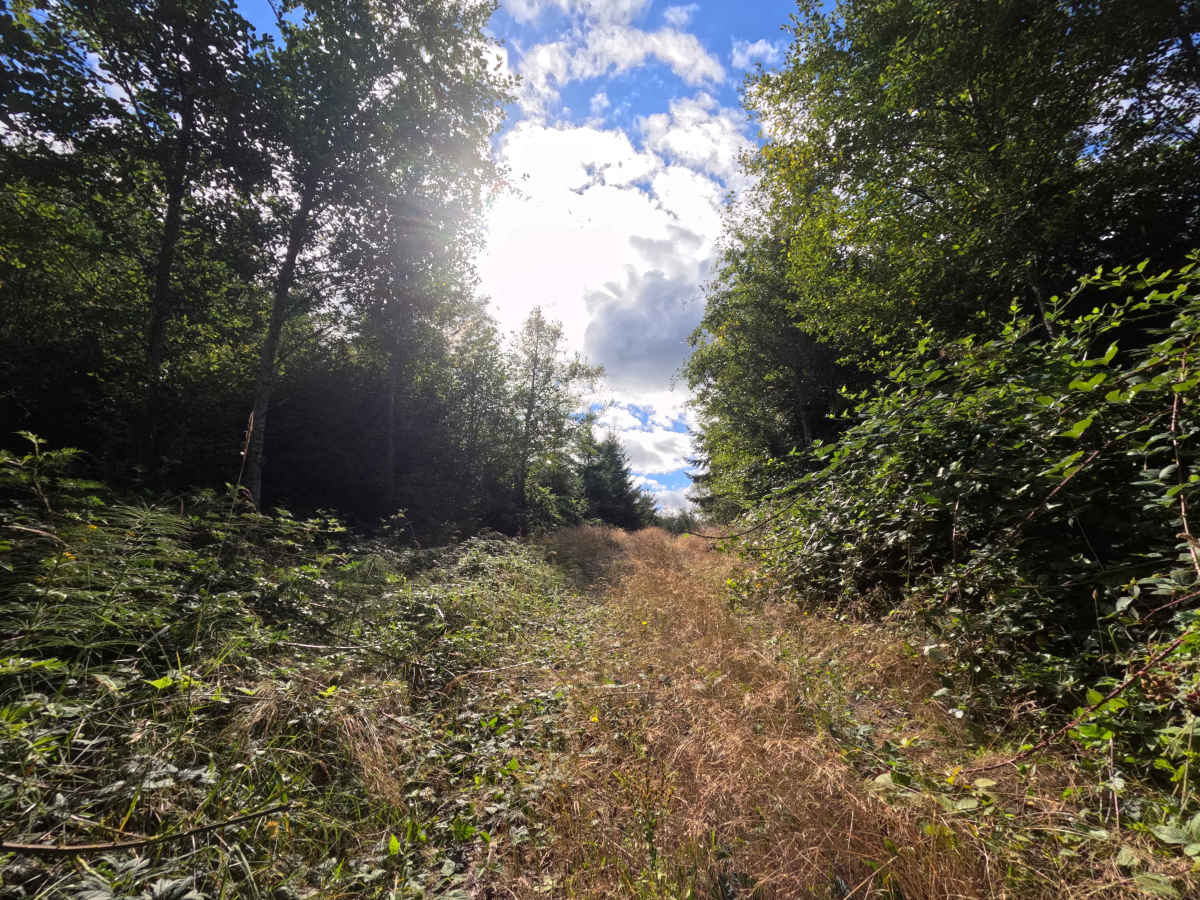 W-549 trail photo