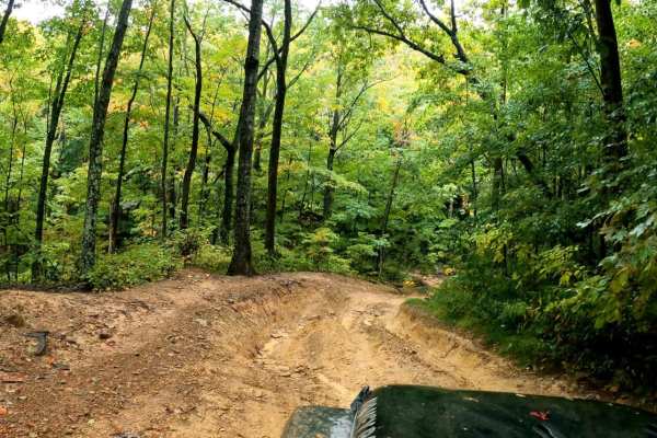 Windrock Trail 51