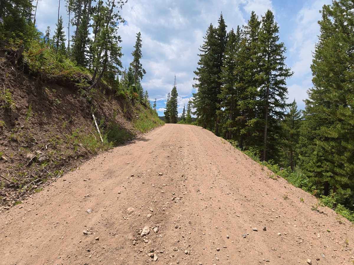 High Rock Creek Road - FS 263 trail photo