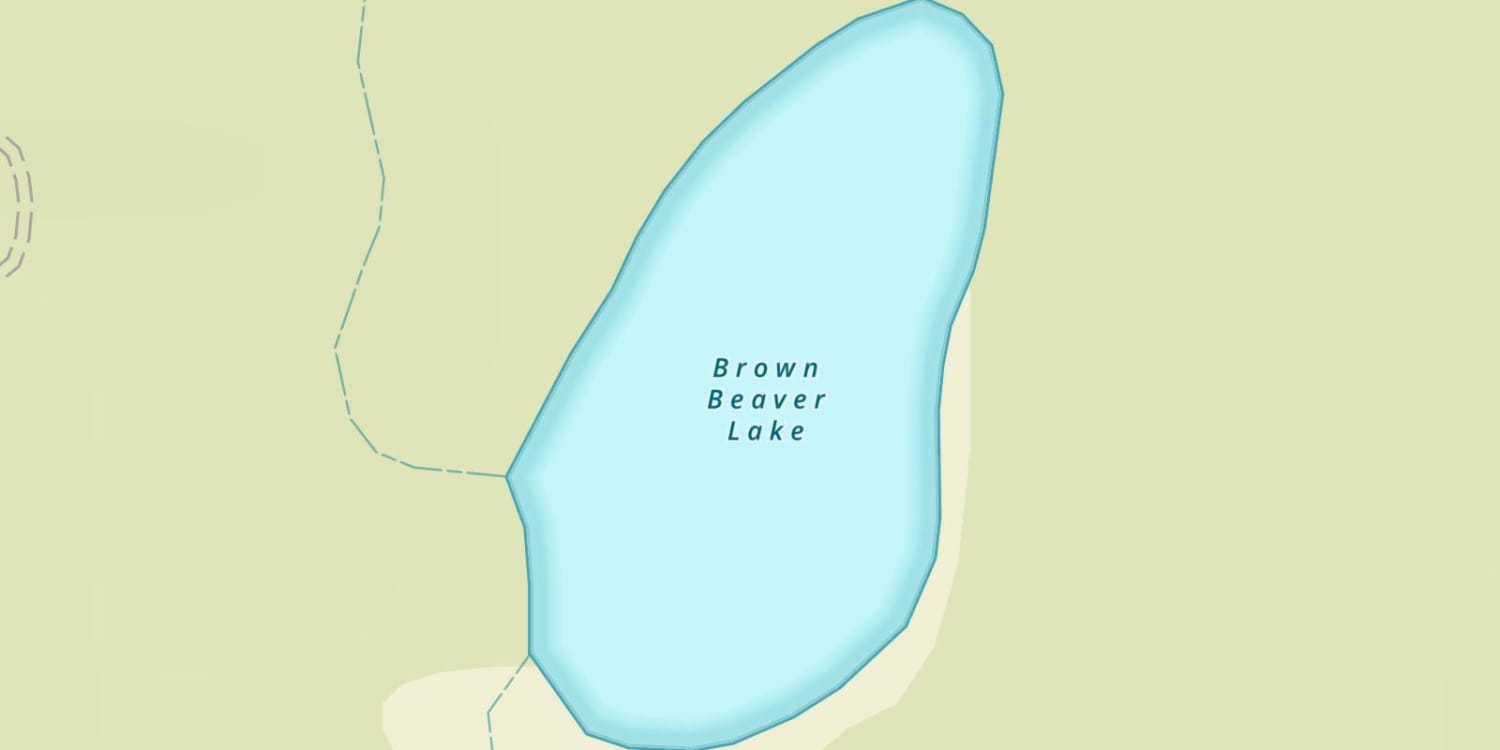 Brown Beaver Lake